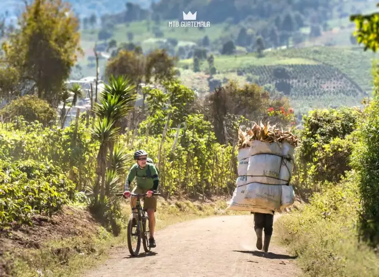 Enourmous loads make the steep hills look easier by bike.  Chimaltenango, Guatemala