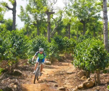 Los Nisperos Mountain BIke Tour Antigua