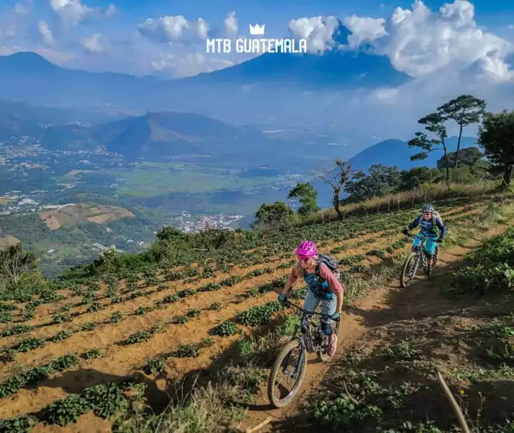 Feb 10 - Dos Aguacates Enduro