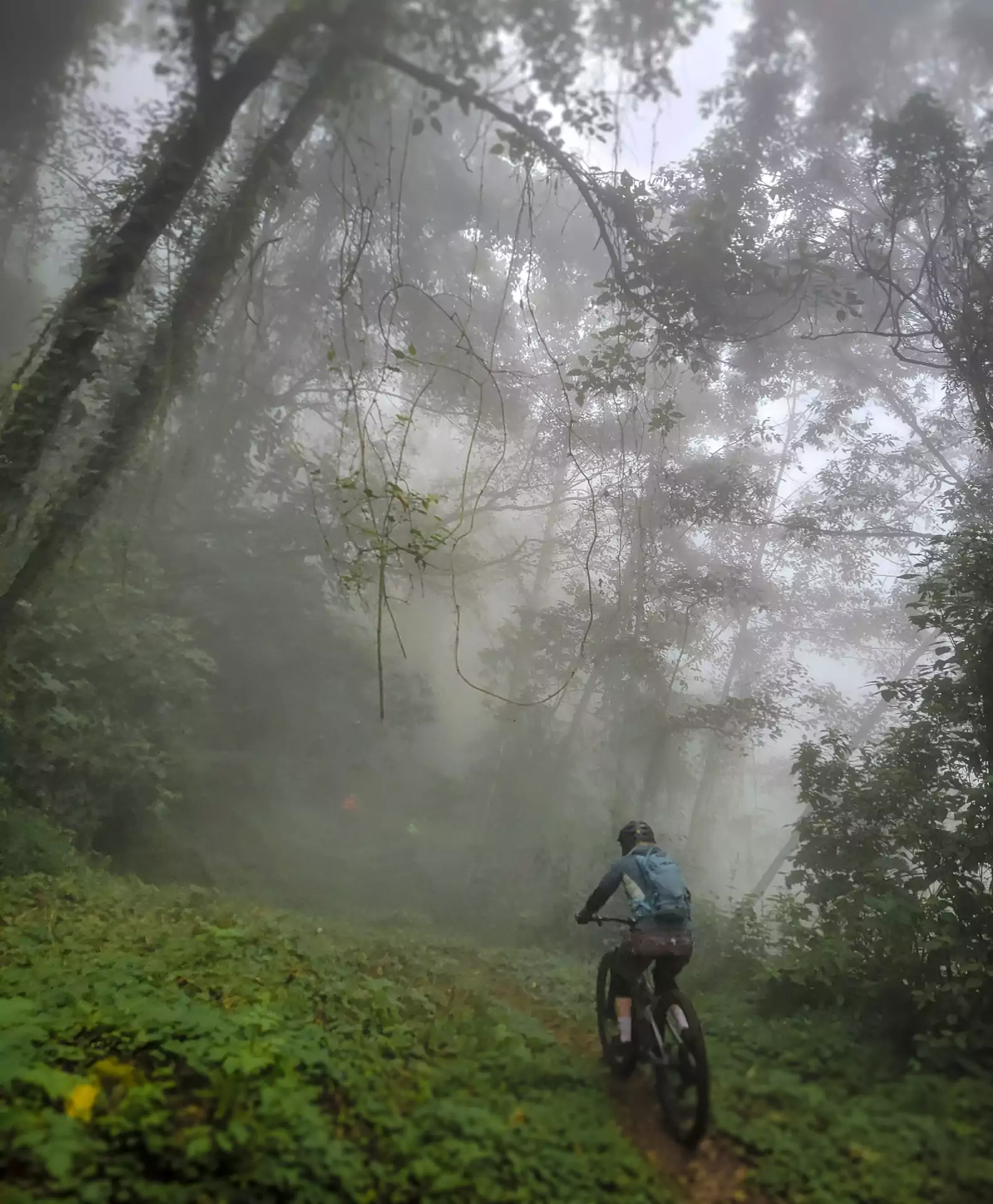 Tecpan-Pana Route of the Kaqchikel - <2 People